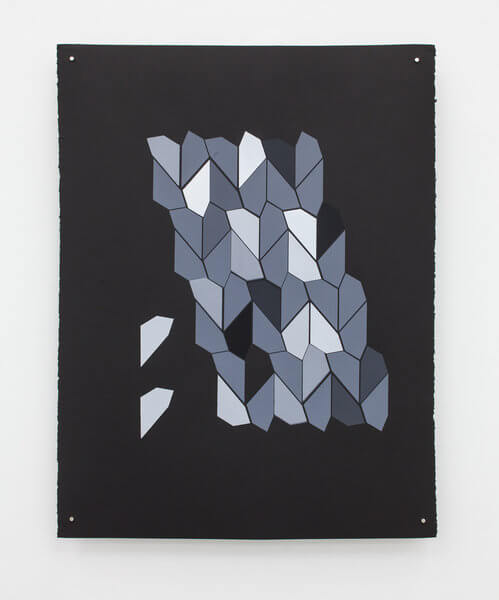 1194_8 Jan Tichy, Type 6 ,2015, Screen print, acrylic on paper, 74x57 cm (25)-499x600