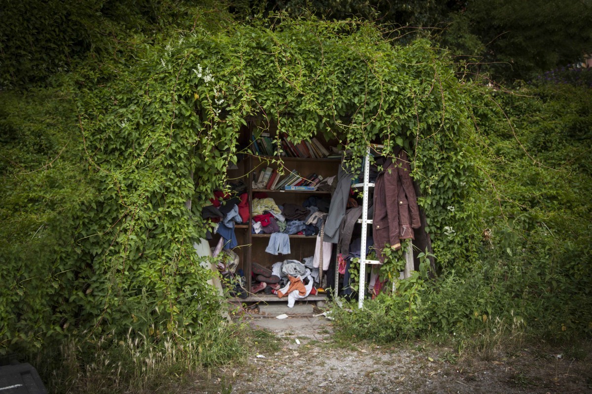 Noga Shtainer, Untitled, summer, Inkjet print, 49x74 cm