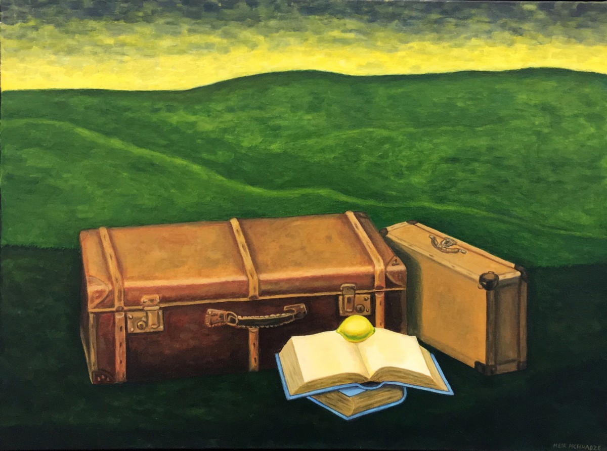 S-704, Meir Pichhadze Oil on canvas 60 x 80 cm 14,000$