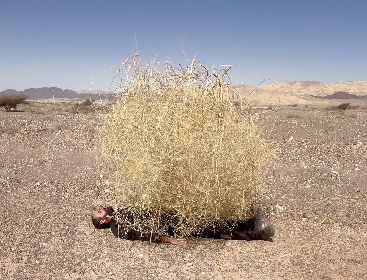 Oren Fischer, Burning Bush, 2024, Video, 2 min